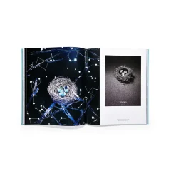 Tiffany & Co. Assouline Windows at book, Ultimate Collection edition. | ^ The Home|Housewarming Gifts