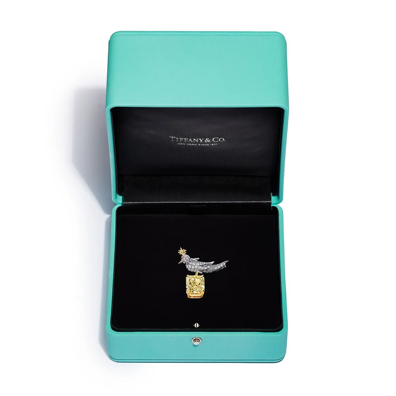 Tiffany & Co. Brooch in Platinum & Gold with a Fancy Intense Yellow Diamond and White Diamonds | ^ Brooches|Gold Jewelry