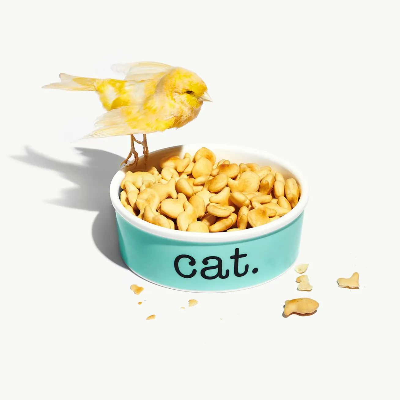 Tiffany & Co. Cat bowl in bone china. | ^ Tiffany Blue® Gifts|Stationery, Games & Unique Objects