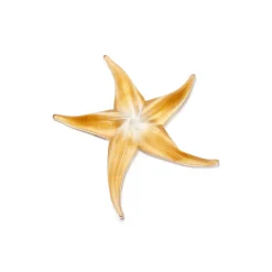 Tiffany & Co. Elsa Peretti® Starfish in handmade, mouth-blown Venetian glass. | ^ Decor|Elsa Peretti Home