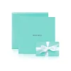 Tiffany & Co. The Tiffany Gift Card | ^ Him|Gifts for Him