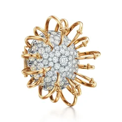 Tiffany & Co. Schlumberger® Apollo Brooch in Gold and Platinum with Diamonds | ^ Brooches|Men's Jewelry