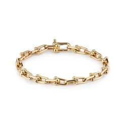 Tiffany & Co. Tiffany HardWear 18K Gold Link Bracelet | ^ Bracelets|Men's Jewelry