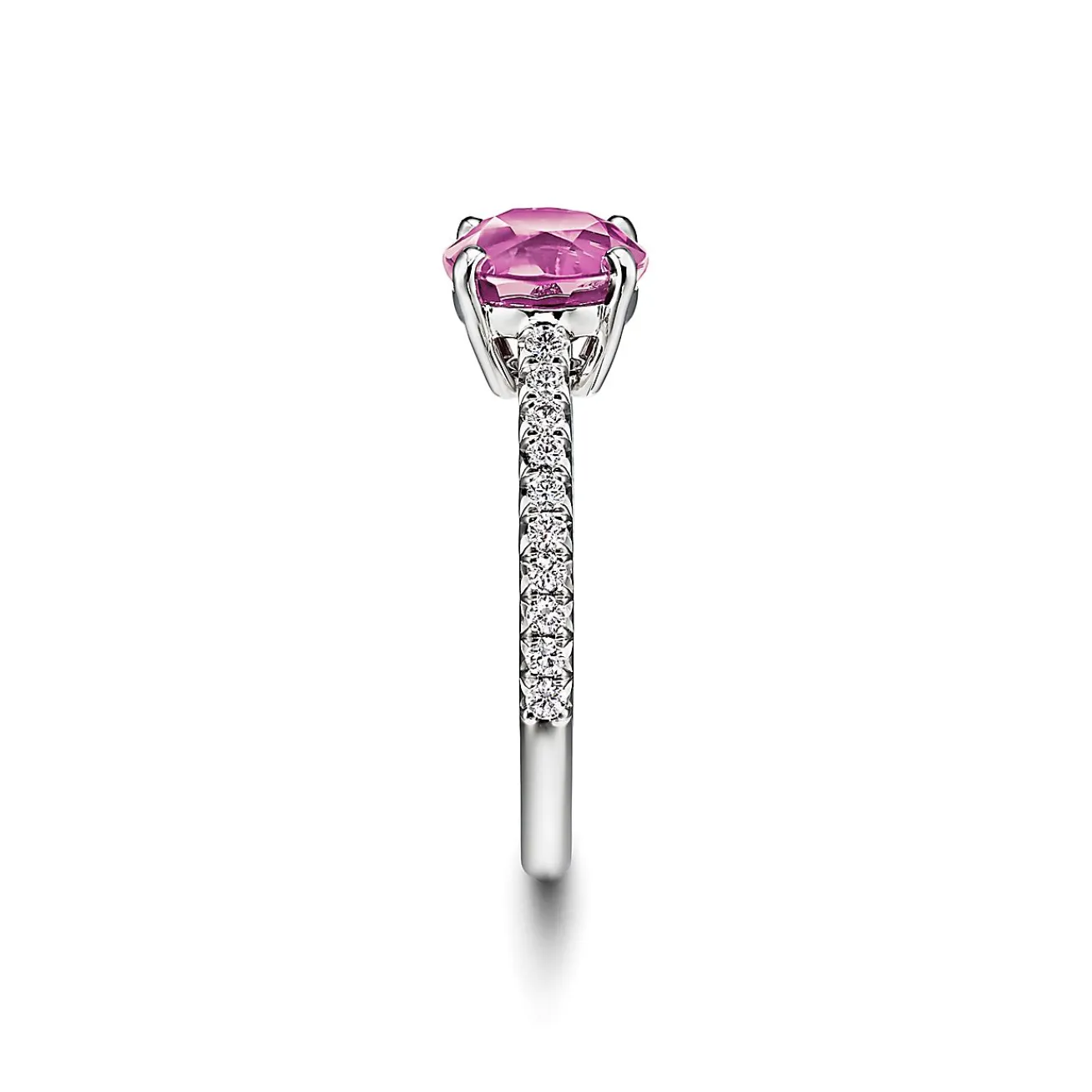 Tiffany & Co. Tiffany Novo® Round Pink Sapphire Ring in Platinum with Pavé Diamonds | ^ Rings
