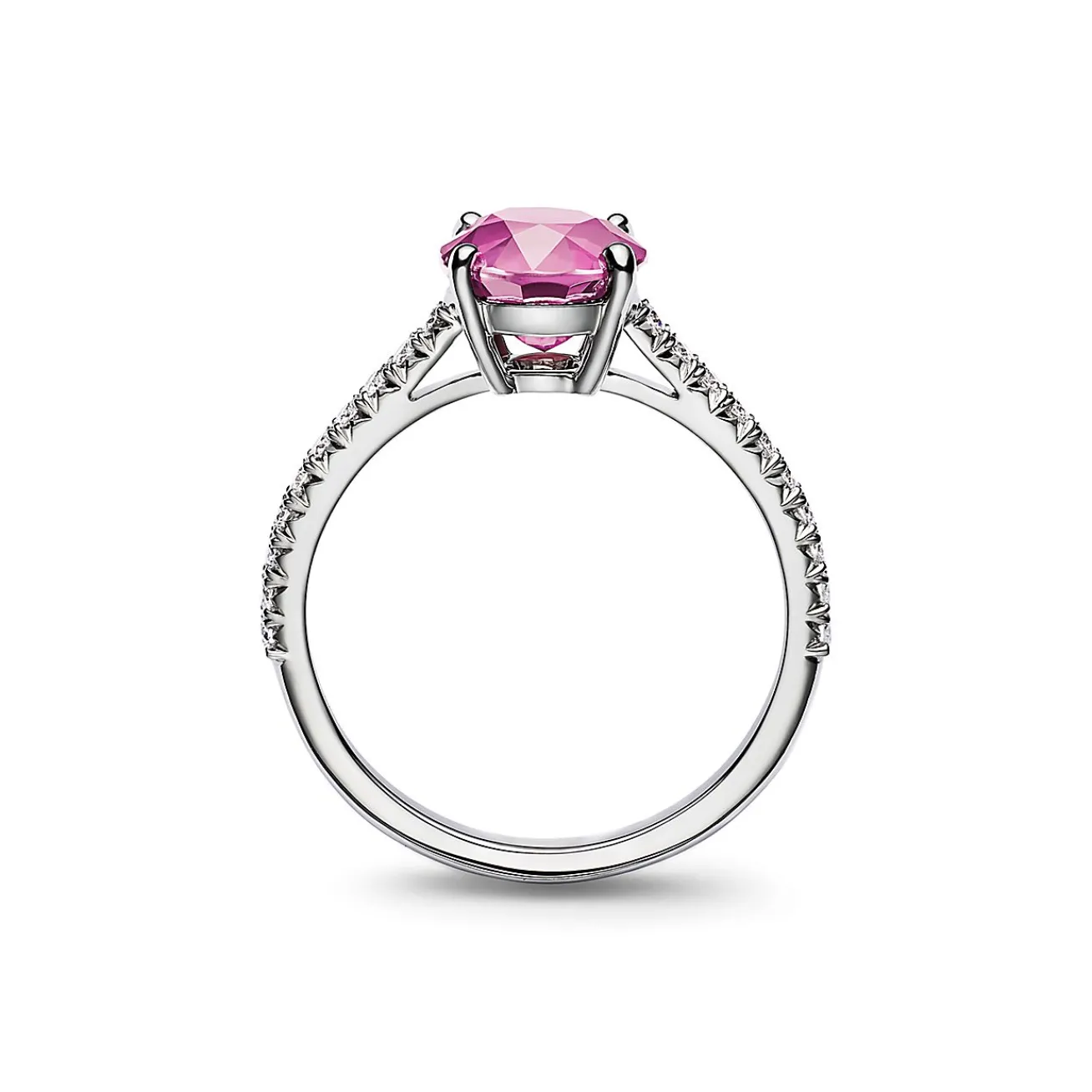 Tiffany & Co. Tiffany Novo® Round Pink Sapphire Ring in Platinum with Pavé Diamonds | ^ Rings