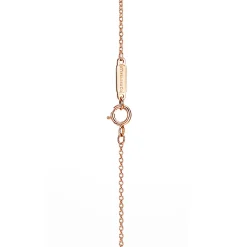 Tiffany & Co. Tiffany Victoria® diamond vine circle pendant in 18k rose gold, small. | ^ Necklaces & Pendants|Gifts for Her