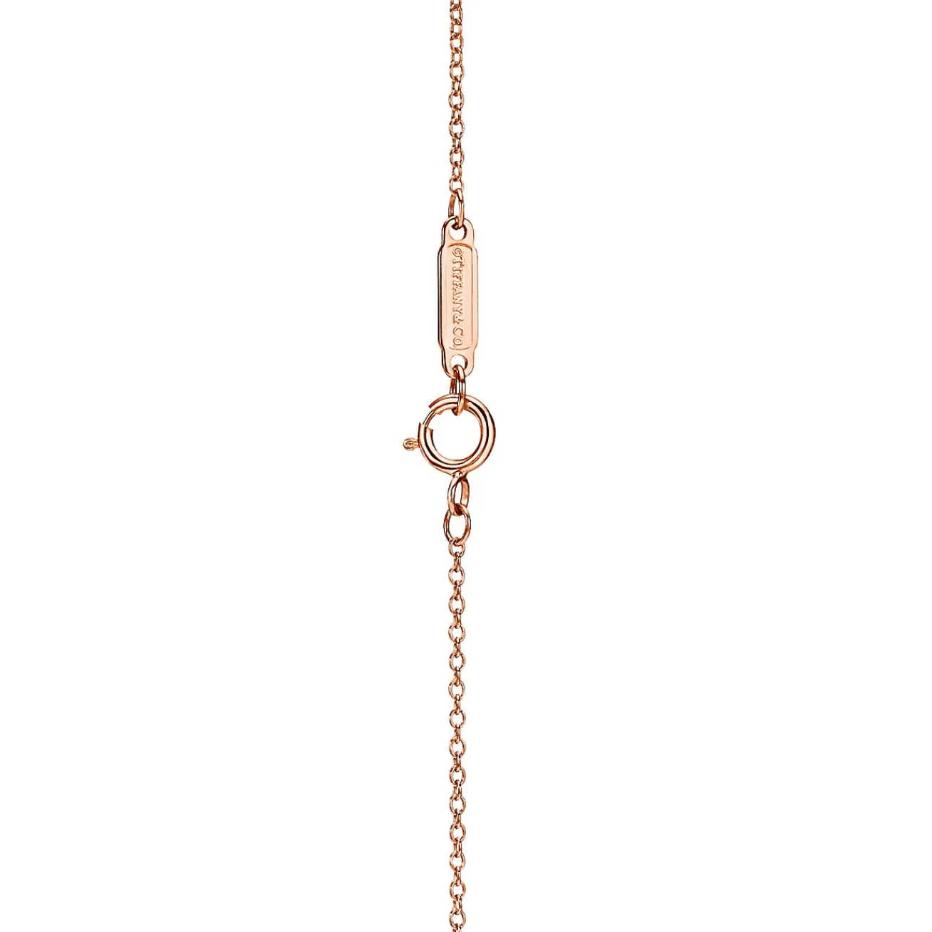 Tiffany & Co. Tiffany Victoria® diamond vine circle pendant in 18k rose gold, large. | ^ Necklaces & Pendants|Rose Gold Jewelry