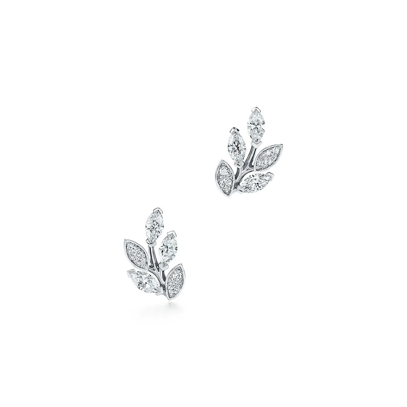 Tiffany & Co. Tiffany Victoria® diamond vine earrings in platinum, small. | ^ Earrings|Gifts for Her