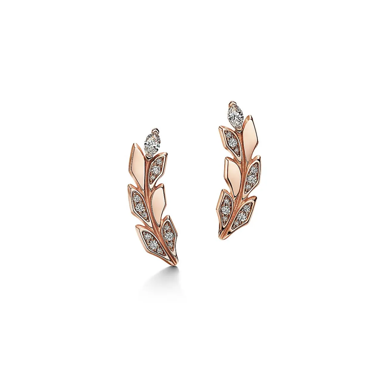 Tiffany & Co. Tiffany Victoria® Vine Climber Earrings in Rose Gold with Diamonds | ^ Earrings|Gifts for Her